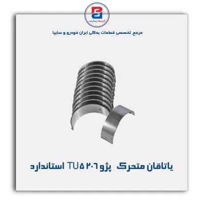 یاتاقان متحرک   پژو TU5 206 IBBC