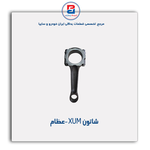 شاتون XUM -عظام