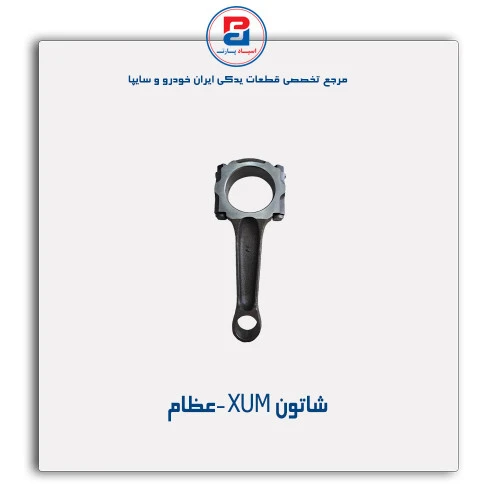 شاتون XUM -عظام