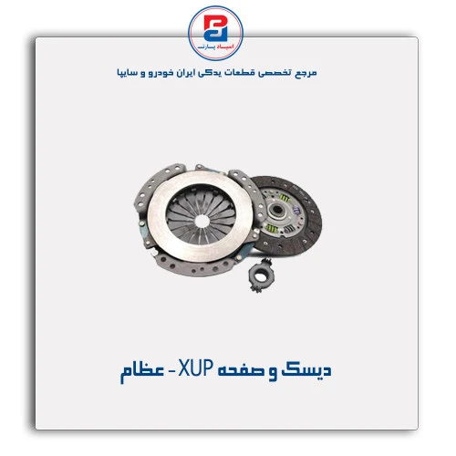 دیسک و صفحه XUP - عظام