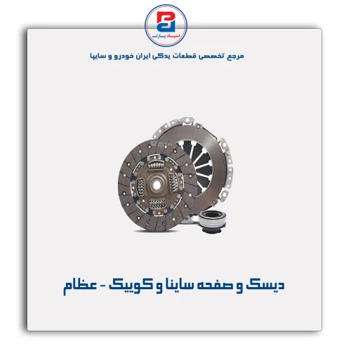 دیسک و صفحه ساینا و کوییک - عظام