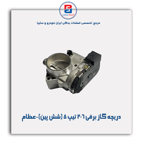 دریچه گاز برقی 206 تیپ 5 (شش پین)-عظام