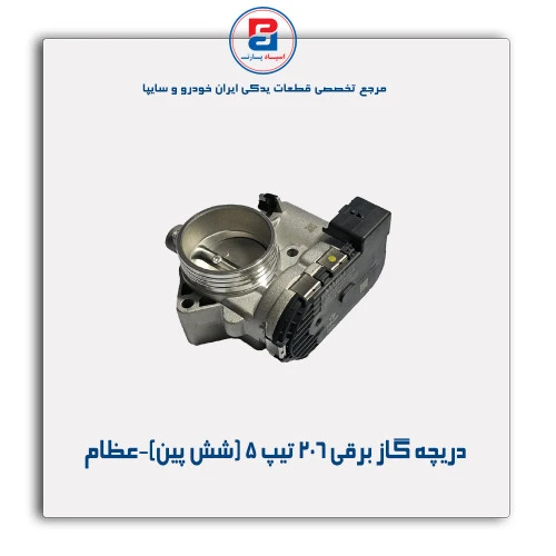 دریچه گاز برقی 206 تیپ 5 (شش پین)-عظام