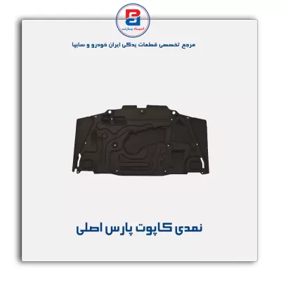 نمدی کاپوت پارس-آذین پارت