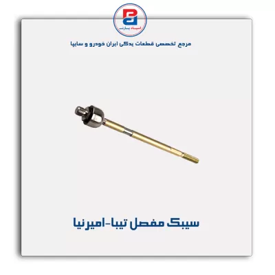 سیبک مفصل تیبا-امیرنیا