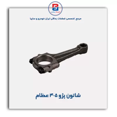 شاتون پژو ۴۰۵ عظام