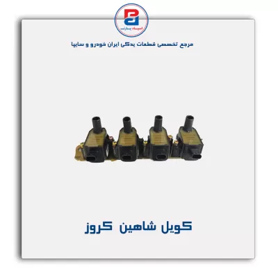 کویل  شاهین   کروز