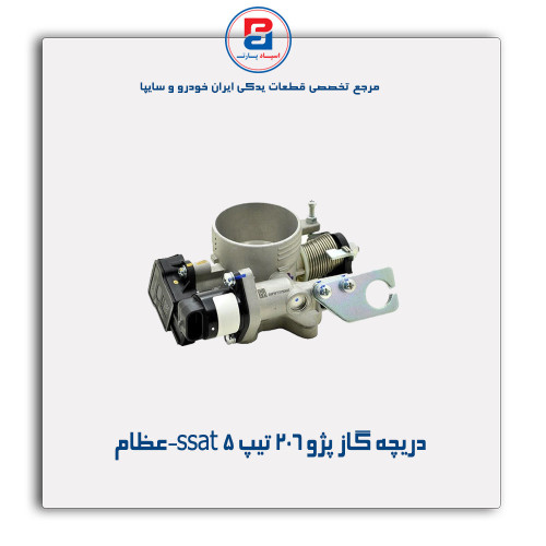 دریچه گاز پژو 206 تیپ 5 ssat-عظام