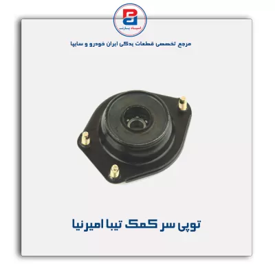 توپی سر کمک تیبا امیرنیا