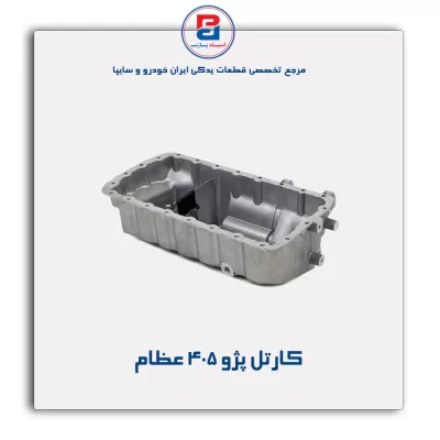 کارتل پژو ۴۰۵ عظام