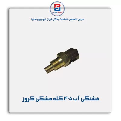 فشنگی آب 405 کله مشکی کروز