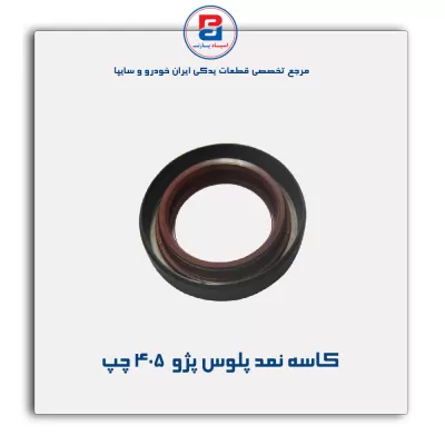کاسه نمد پلوس پژو  405-ویژن