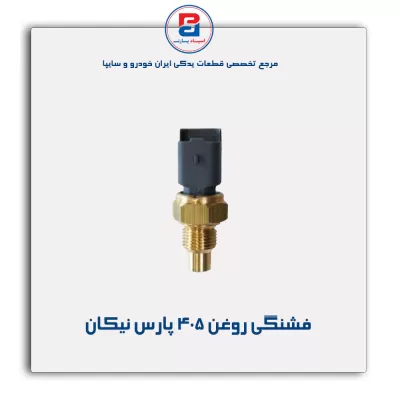 فشنگی روغن 405 پارس نیکان