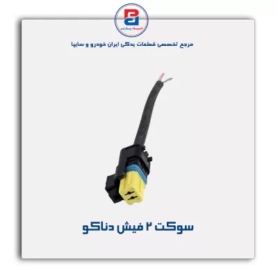 سوکت 2 فیش دناکو