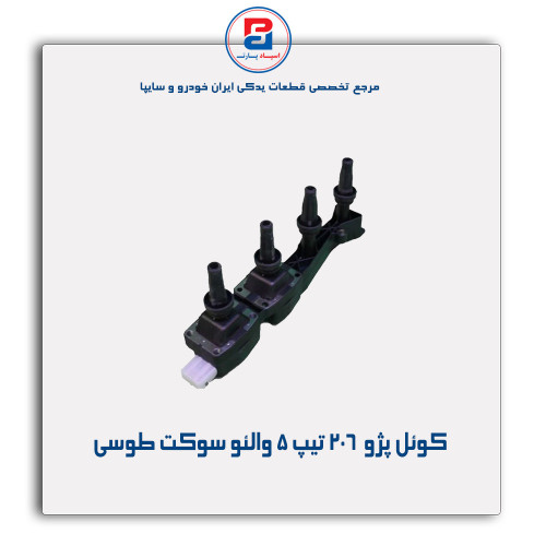 کوئل پژو  206-عظام