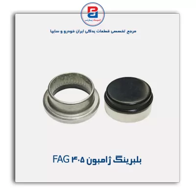 بلبرینگ ژامبون FAG 405