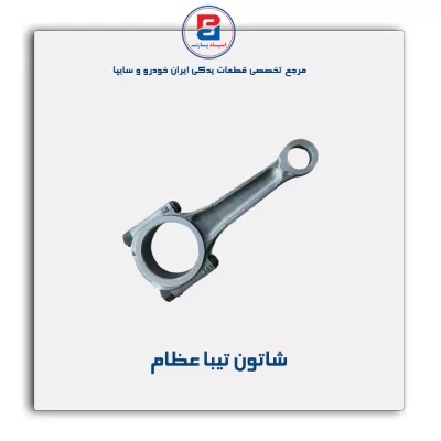 شاتون تیبا عظام