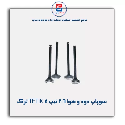 سوپاپ دود و هوا 206 تیپ 5 TETiK ترک