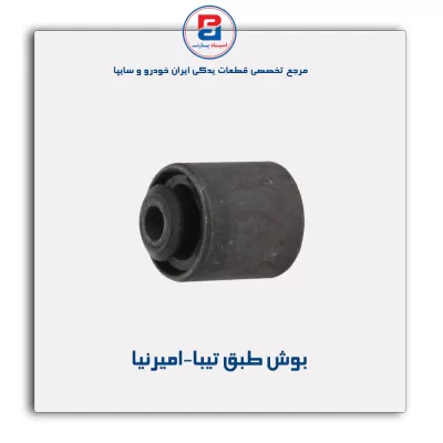 بوش طبق تیبا-امیرنیا