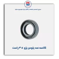 کاسه نمد پلوس پژو  405-ویژن