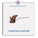 قفل داخل درب ساینا -امکو