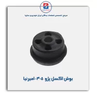 بوش اکسل پژو  405-امیرنیا