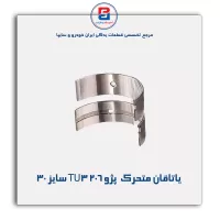 یاتاقان متحرک  پژو 206 TU3 گلدن