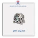 دینام ال نود- عظام