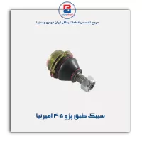 سیبک طبق  پژو 405 امیرنیا