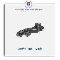 بازویی ژامبون405 -امیرنیا