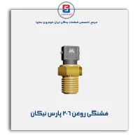فشنگی روغن 206 پارس نیکان