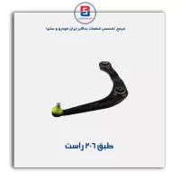 طبق 206-امیرنیا