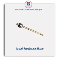 سیبک مفصل تیبا-امیرنیا