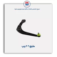 طبق 206-امیرنیا