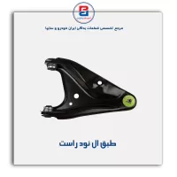 طبق ال نود-امیرنیا