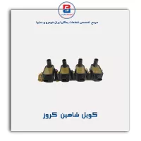 کویل  شاهین   کروز