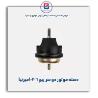 دسته موتور دو سر پیچ 206-امیرنیا