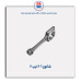 شاتون 206 -عظام