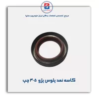 کاسه نمد پلوس پژو  405-ویژن