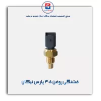 فشنگی روغن 405 پارس نیکان