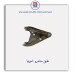 طبق ساندرو -امیرنیا