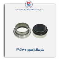 بلبرینگ ژامبون FAG 405