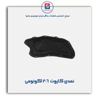 نمدی کاپوت 206-آذین پارت