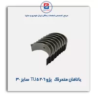 یاتاقان متحرک   پژو TU5 206 IBBC