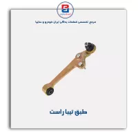طبق تیبا -امیرنیا